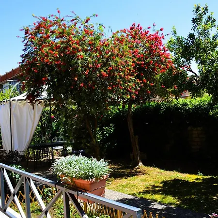L\'Oasi Delle Vigne