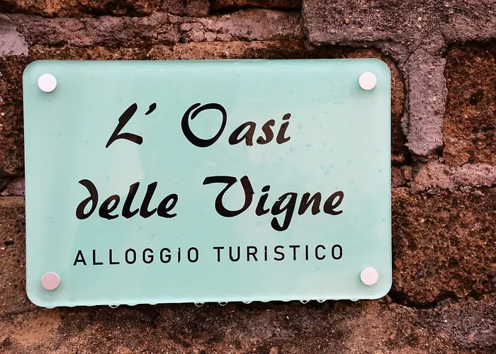 L'oasi Delle Vigne 4*