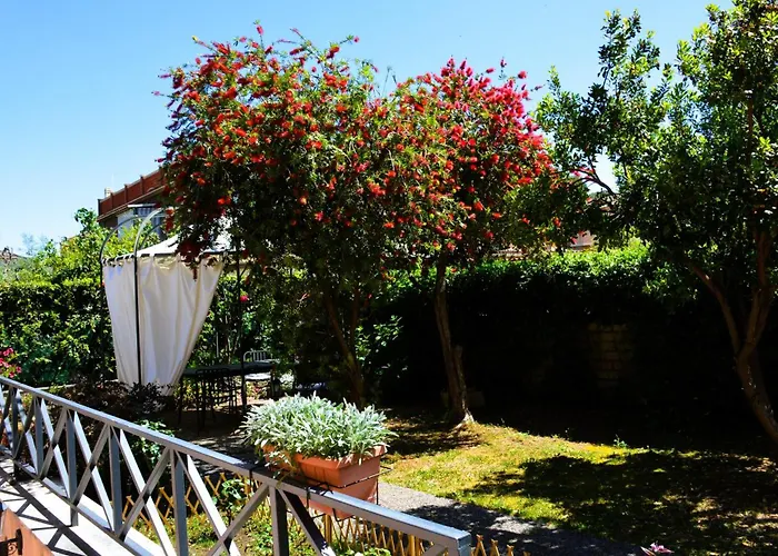L'oasi Delle Vigne Roma